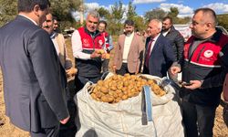 Kastamonu’da patates hasat günü düzenlendi