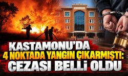 Kastamonu’da 4 noktada yangın çıkarmıştı: Cezası belli oldu