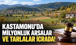 Kastamonu'da milyonluk arsalar ve tarlalar icrada!