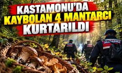 Kastamonu’da kaybolan 4 mantarcı kurtarıldı