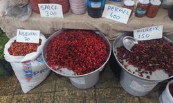 Kastamonu’da kışlık hazırlıklar devam ediyor