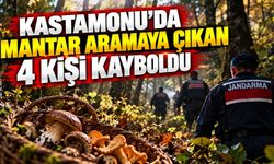 Kastamonu’da mantar aramaya çıkan 4 kişi kayboldu