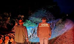 Kastamonu’da orman koruma ekipleri sahada