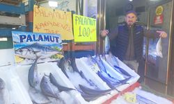 Kastamonu’da palamut bereketi balık tezgahlarına yansıdı
