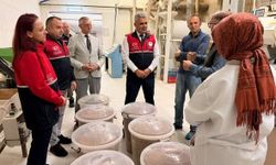 Kastamonu’da siyez ürünleri üretim tesislerinde incelendi