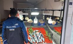 Kastamonu’da su ürünleri satış yerleri denetlendi