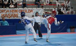 Kastamonu’da taekwondo rüzgarı esti