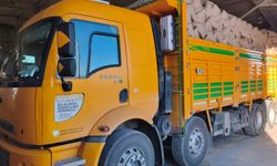 Kastamonu’da TMO’dan fındık üreticisine destek