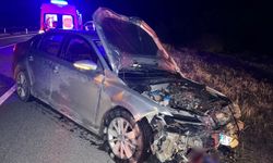 Kastamonu’da yola çıkan domuz sürüsü kazaya neden oldu