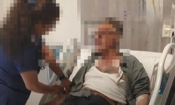 Kastamonu'da zehirli mantar hastanelik etti