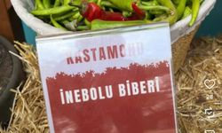 Kastamonu’nun ata tohumlu biberi Adana’da tanıtıldı