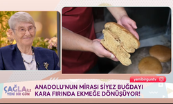 Kastamonu’nun siyezi NOW TV ekranlarında ekmek oldu