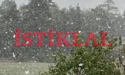 Kastamonu'ya yılın ilk karı lapa lapa yağdı