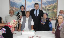 Kaymakam Uçar İnebolu'da ulu çınarlarla buluştu