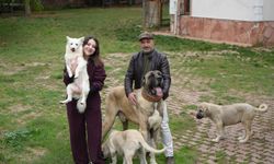 Köpek sevgisi kariyer planını değiştirdi, babasıyla marka kurdu