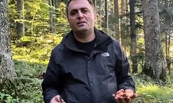 Orman İşletme Müdürü’nden vatandaşlara mantar uyarısı