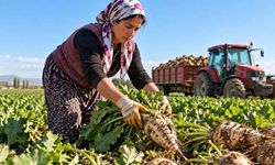 Pancarda bekleyiş sona erdi, alım fiyatı açıklandı