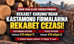 Rekabet Kurumu'ndan Kastamonu firmalarına rekabet cezası!