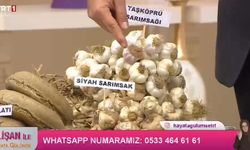 Kastamonu'nun beyaz altını TRT1 ekranlarında boy gösterdi