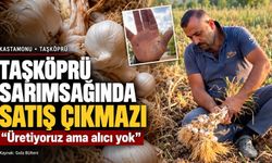 Taşköprü’nün tescilli sarımsağı elinde kalan çiftçi zorda!