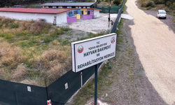 Tosya’da 239 can dostuna güvenli yuva