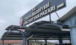 Tosya’da hayvan pazarına şap hastalığı tedbiri