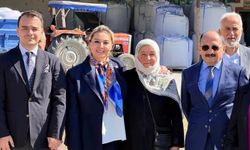 Vekil Ekmekci, Tosya’da çeltik hasadını yerinde takip etti