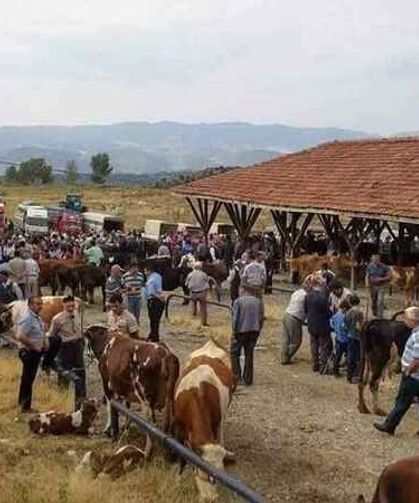 Kastamonu genelinde hayvan pazarları kapatıldı