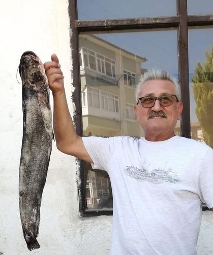 Kastamonu’da dev yayın balığı 450 TL’ye alıcı buldu