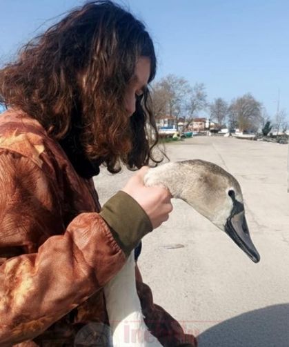 Balık tutmaya giden Kastamonulu aile hayat kurtardı