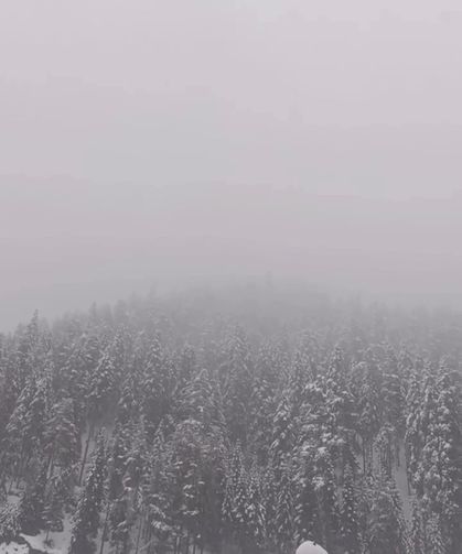 Kastamonu - Çankırı sınırındaki Ilgaz Dağı'na kar yağdı