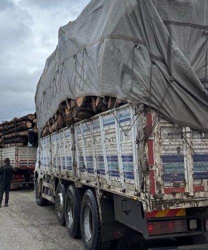 İstanbul-Kastamonu yolunda orman kontrolü