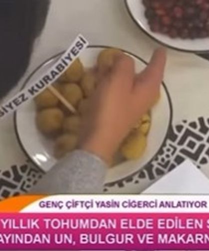 Kastamonu’nun siyez buğdayı, TRT ekranlarında tanıtıldı