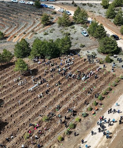 2026'da 210 bin fidan Kastamonu’da toprakla buluşacak