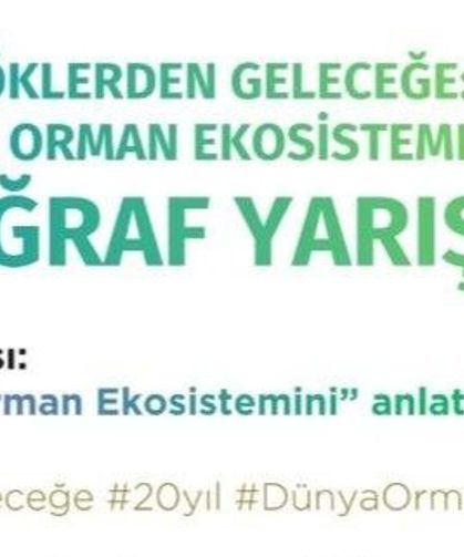 Kastamonu’da orman için objektifler devrede