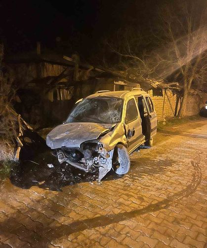 Hayvandan kaçarken taşa çarptı: 1 yaralı