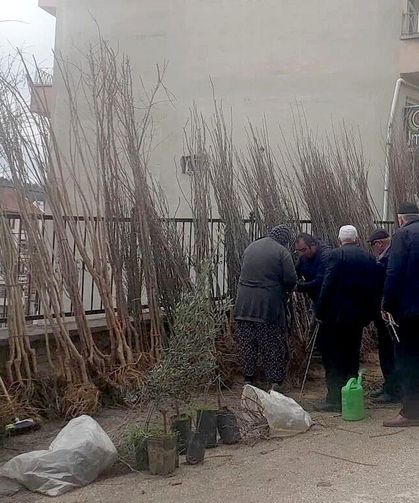 Kastamonu'da fidan satışlarında patlama