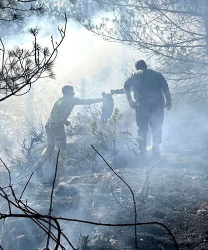 Kastamonu'da orman yangını: 300 metrekare alan zarar gördü!
