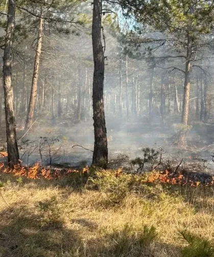 Kastamonu’da çıkan yangınlar büyümeden söndürüldü