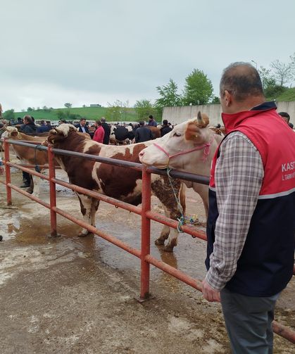 Kastamonu’da veteriner hekimler bayramda sahada olacak