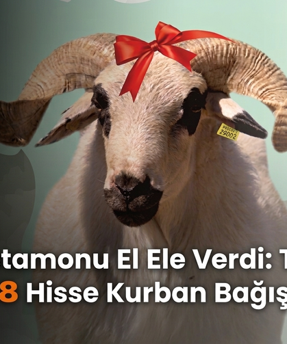 Kastamonu el ele verdi: 2338 hisse kurban bağışlandı