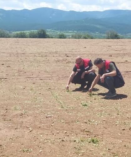 Daday’da afetin bilançosu çıkarılıyor