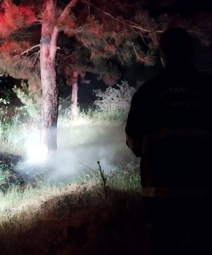 Kastamonu'da gece saatlerinde alevler yükseldi