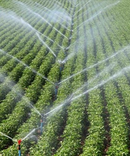Kastamonu'da 6 ay süreli istihdam kapısı