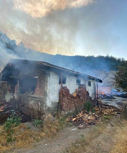 Kastamonu'da evde çıkan yangın ormana sıçradı