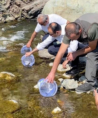 İlişi Çayı’na 15 bin alabalık bırakıldı