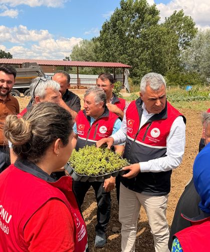Kastamonu kekik ve adaçayı kokacak: 500 binden fazla fide dağıtıldı