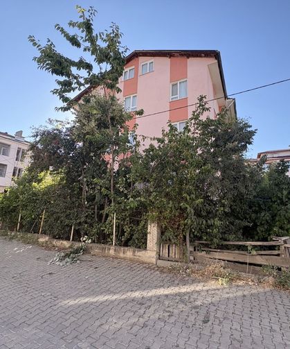 Kastamonu'da emekli öğretmen ağaçtan düşerek yaralandı