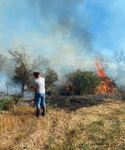 Örtü yangını ağaçlık alana sıçradı