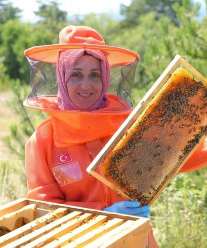 Merakı mesleği oldu! Arıları için her hafta 900 km yol gidiyor
